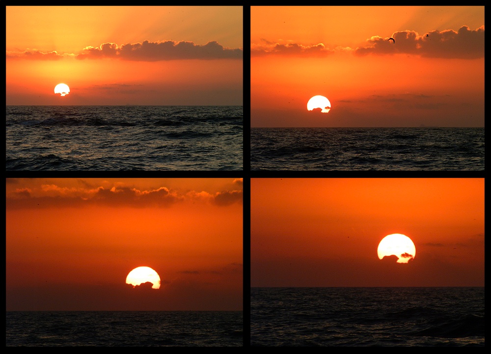 (13) dawn montage.jpg   (1000x720)   224 Kb                                    Click to display next picture